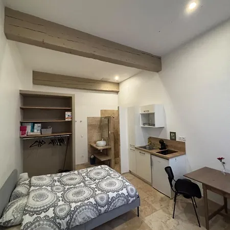 Apartmán Rue Chenoise Hyper Centre Grenoble